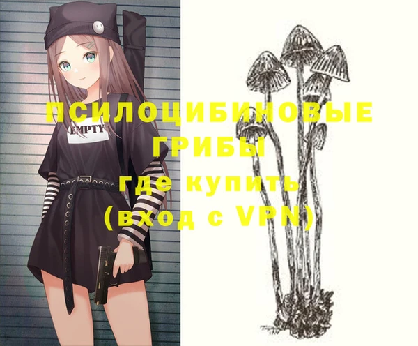 твердый Вязники