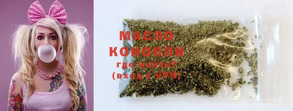 молекула духа Вяземский